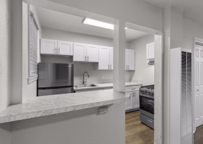 Carolina Court kitchen